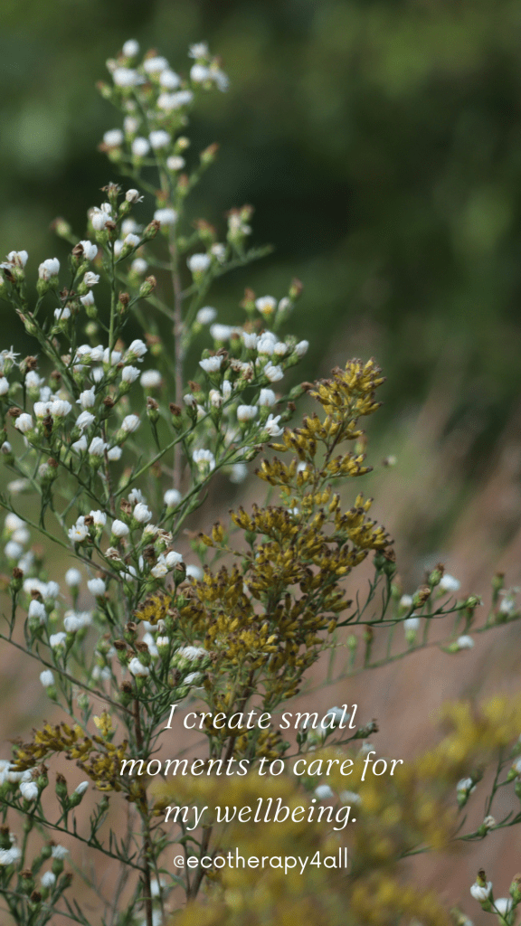 Small sprays of white and yellow flowers on tall stalks. White text overlaid: I create small moments to care for my wellbeing.